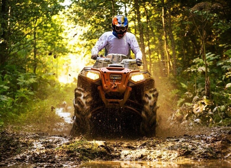 Picture 2 for Activity Willow: Dog Sledding & ATV/UTV Combo Tour 2