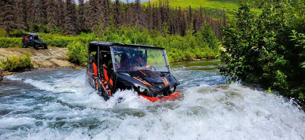 Willow: Dog Sledding & ATV/UTV Combo Tour 1