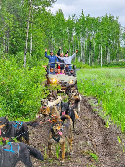 Picture 4 for Activity Willow: Dog Sledding & ATV/UTV Combo Tour 3