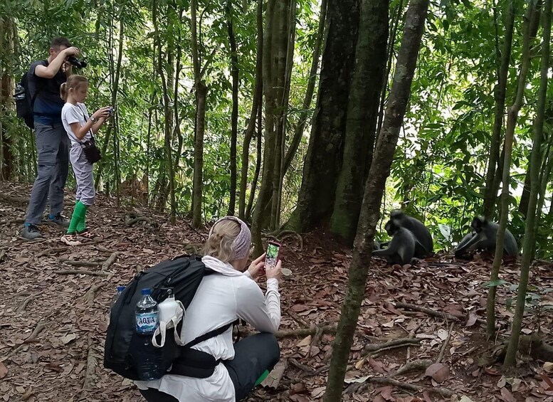 Picture 2 for Activity Bukit Lawang: 7-Day Jungle Trekking Adventure 5