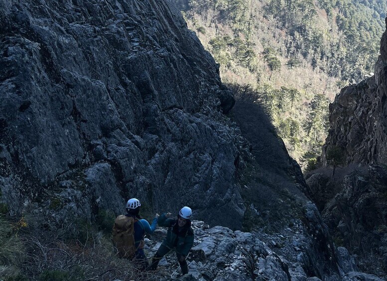 Picture 5 for Activity Day excursion to Cerro las Peinetas, among rocks and Araucaria trees 5