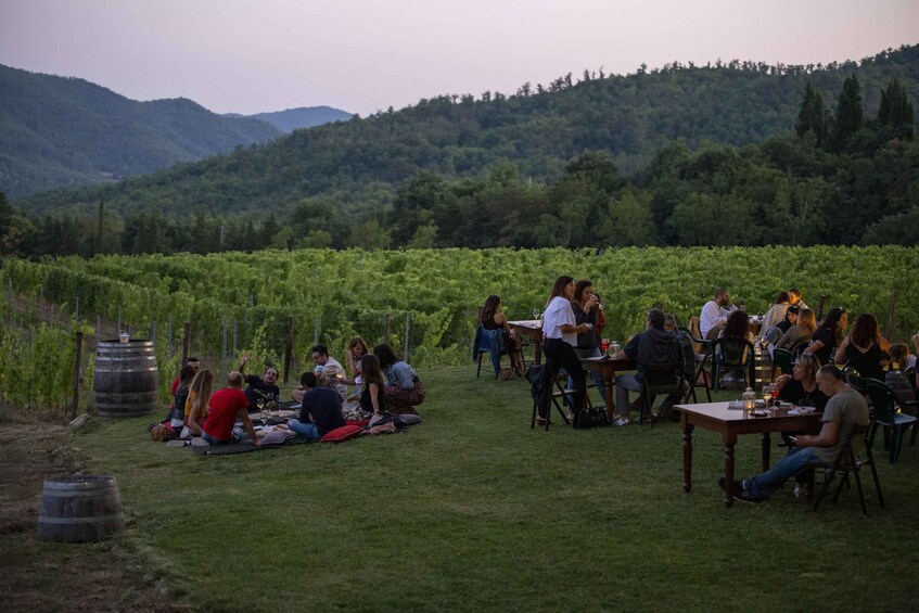 Picture 9 for Activity Ornina: Pinot Noir and Organic Wines in Casentino, Tuscany's Secret Valley 1