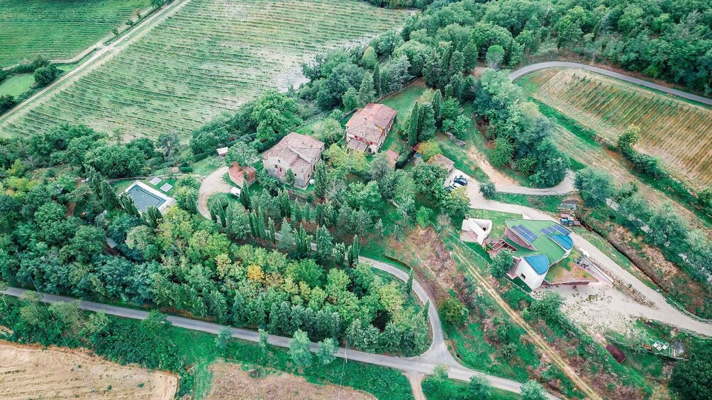 Picture 15 for Activity Ornina: Pinot Noir and Organic Wines in Casentino, Tuscany's Secret Valley 2