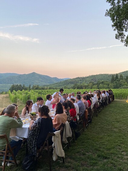 Picture 10 for Activity Ornina: Pinot Noir and Organic Wines in Casentino, Tuscany's Secret Valley 5