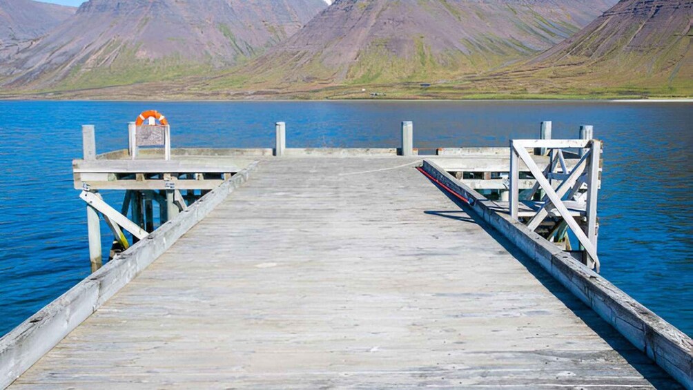 Picture 5 for Activity Private tour from Isafjordur: Dynjandi falls & Westfjords 3