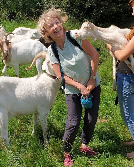 Picture 1 for Activity Goat hike near Dresden 2