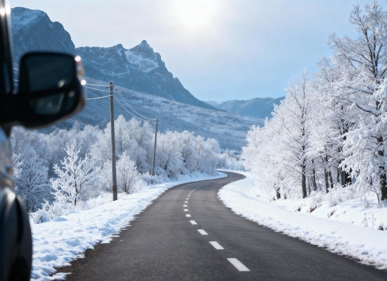 Picture 2 for Activity From Tromsø: The Senja National Scenic Route Full Day Tour 3