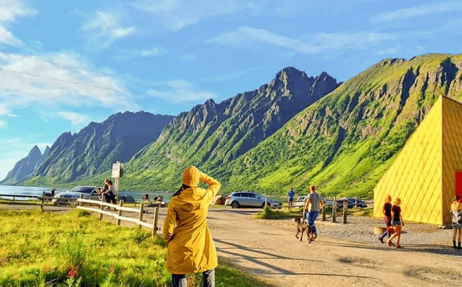 Picture 16 for Activity From Tromsø: The Senja National Scenic Route Full Day Tour 4
