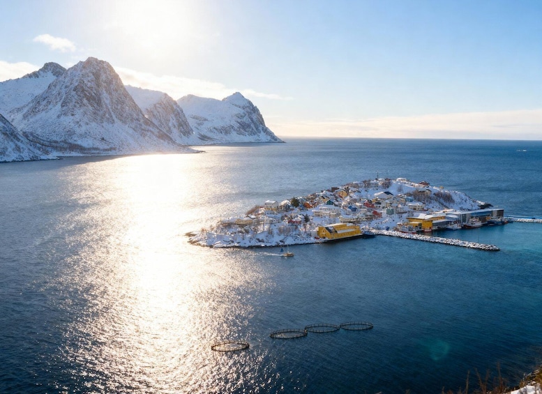 Picture 17 for Activity From Tromsø: The Senja National Scenic Route Full Day Tour 2