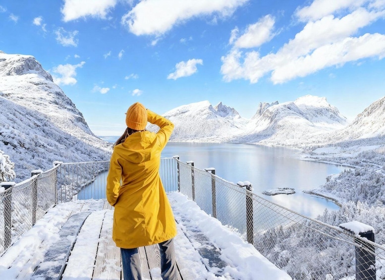 From Tromsø: The Senja National Scenic Route Full Day Tour 1