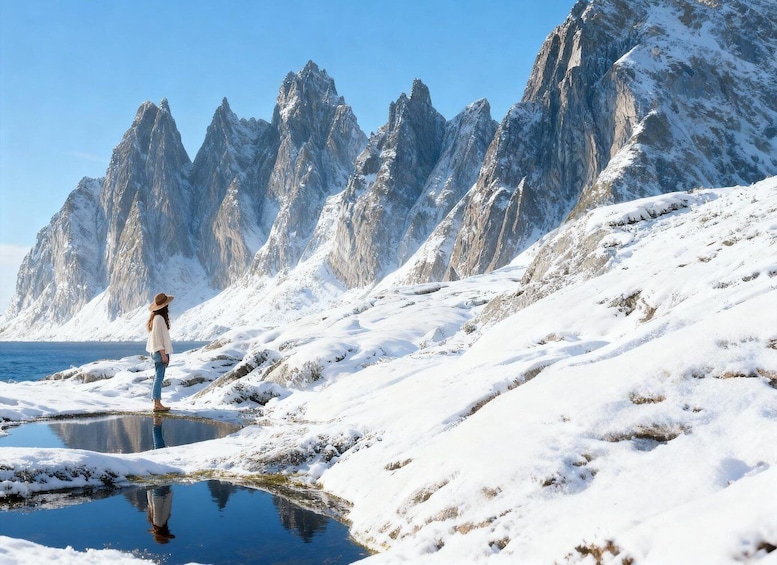 Picture 4 for Activity From Tromsø: The Senja National Scenic Route Full Day Tour 5