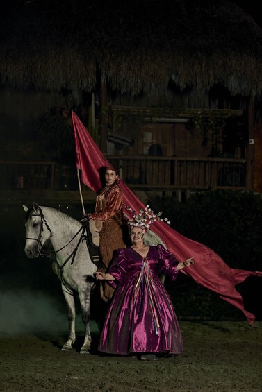 Picture 8 for Activity Quindío: Evening Equestrian Show at Panaca 5