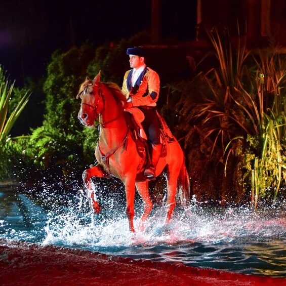 Picture 5 for Activity Quindío: Evening Equestrian Show at Panaca 4