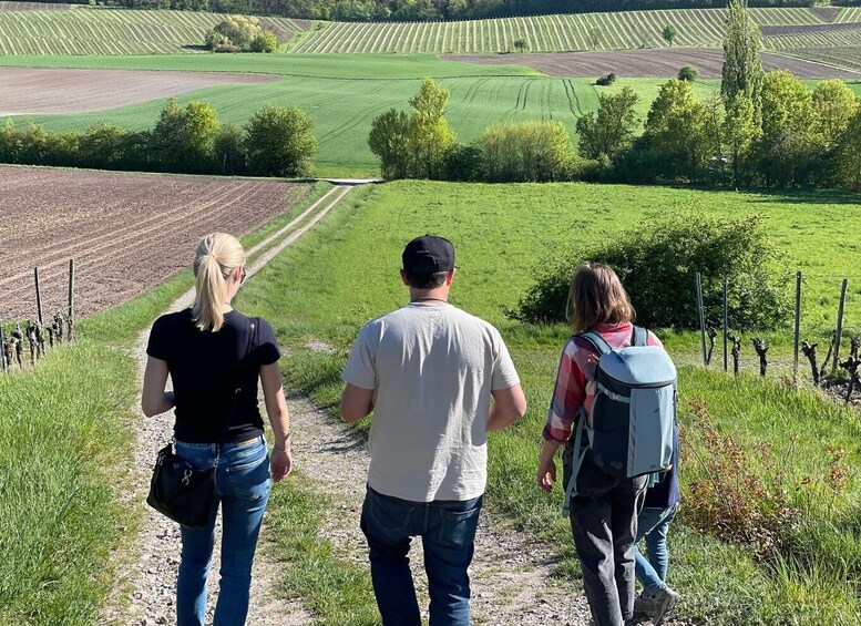 Picture 2 for Activity Castell: Wine tour through the vineyards with a winemaker 3