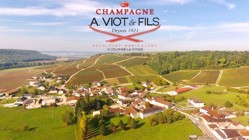 Picture 5 for Activity Cellar tour and/or tasting in Champagne: From the Vine to the Glass 3