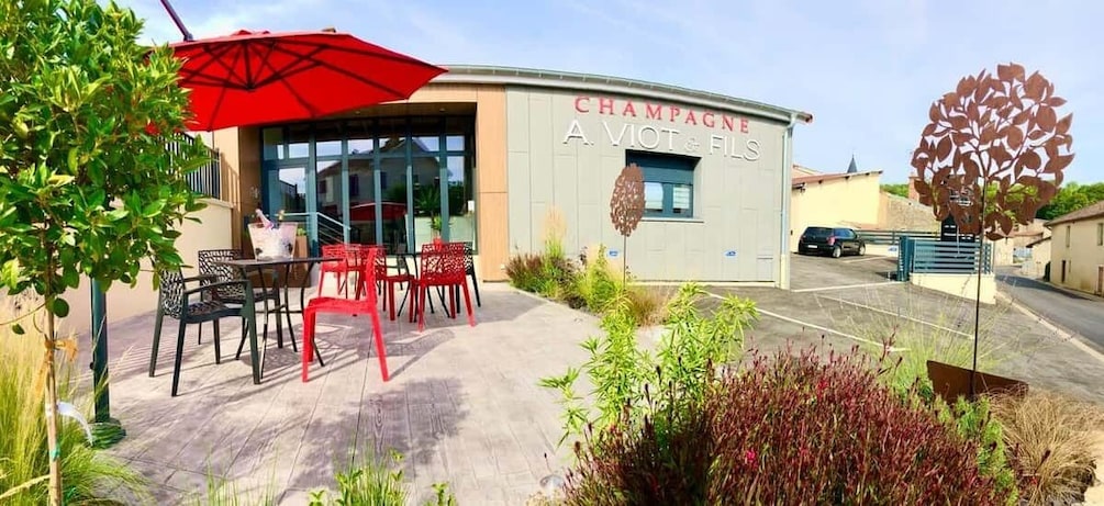 Cellar tour and/or tasting in Champagne: From the Vine to the Glass 1