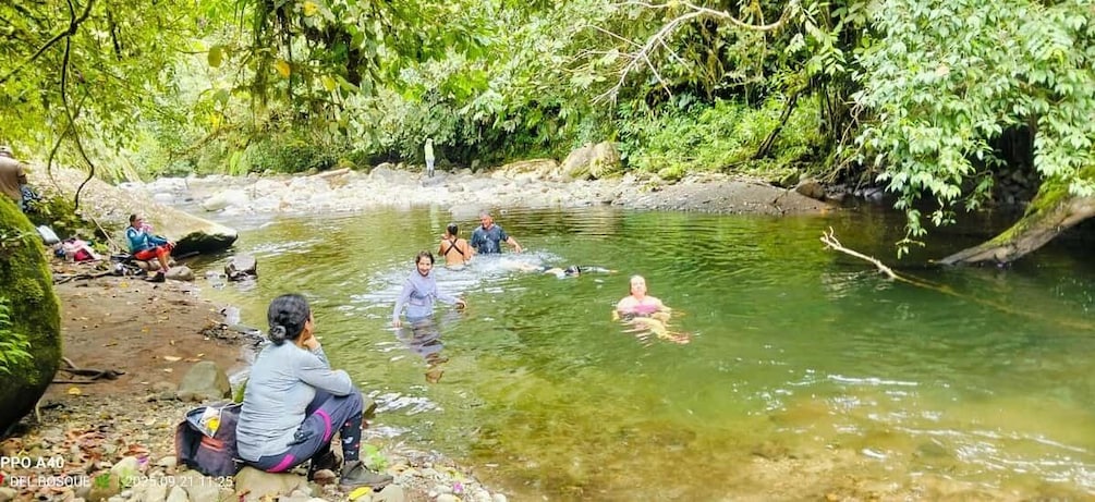 A group of people swimming in a river surrounded by greenery. 3