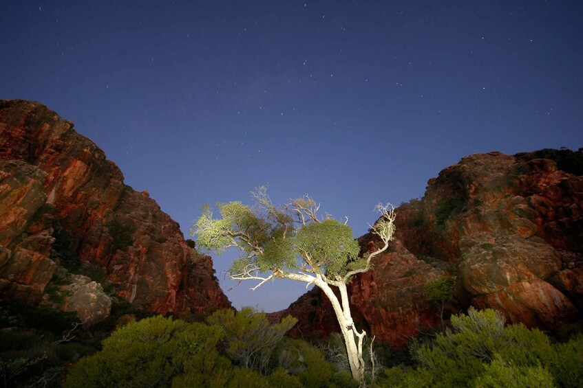 Picture 1 for Activity Exclusive Ningaloo Reef To Range Tours 2