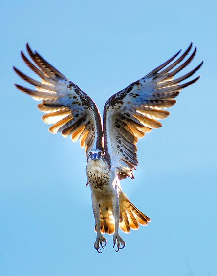 Exclusive Ningaloo Reef To Range Tours 1