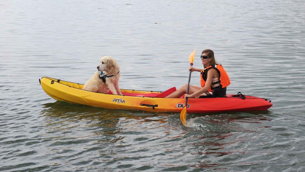 Picture 3 for Activity Gulf of Morbihan: Kayak Rental 2