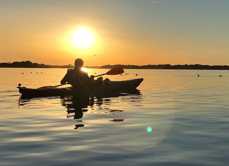 Picture 1 for Activity Gulf of Morbihan: Kayak Rental 3