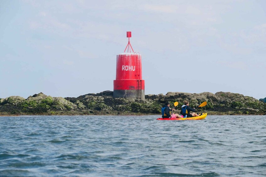 Gulf of Morbihan: Kayak Rental 1