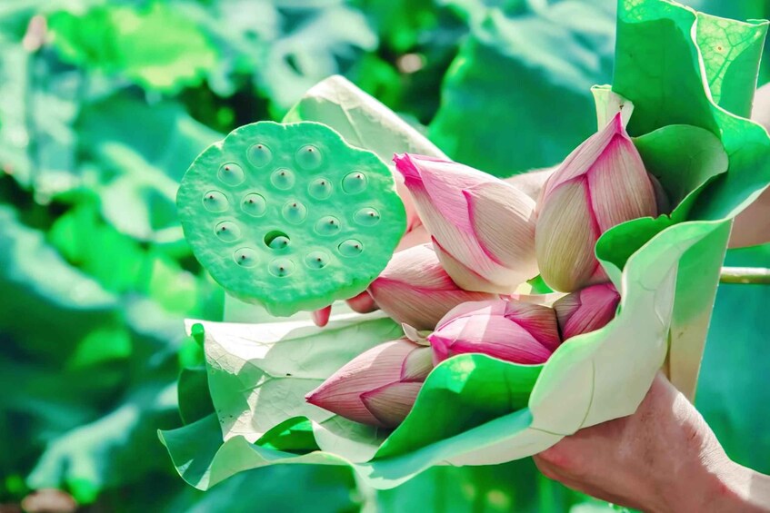 HANGZHOU: Farm Tour with Cooking Class and Flower Workshop 1