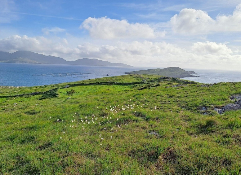 Picture 4 for Activity Meeting the Ancestors: A full-day tour of the Beara Peninsula 2