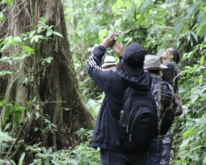 Picture 1 for Activity Manizales - Tour de la Cinco: Urban Art, Culture, and Transformation 3