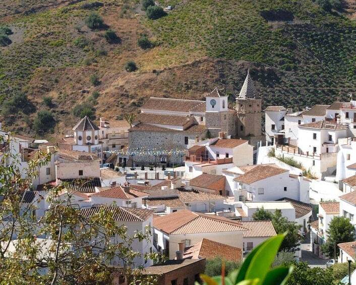 Picture 5 for Activity Nerja: The Moscatel Raisin Route in the Axarquía 3