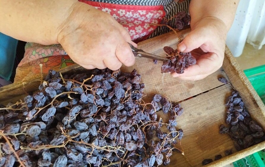 Picture 1 for Activity Nerja: The Moscatel Raisin Route in the Axarquía 2