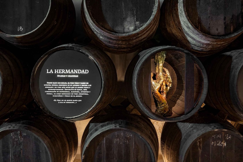 Picture 7 for Activity Seville: Visit Bodegas Góngora 2
