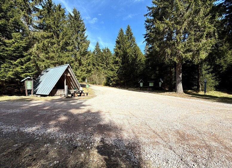 Picture 12 for Activity Oberhof: Puzzle hike in the Thuringian Forest 2
