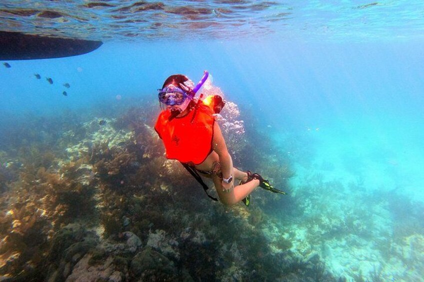 Key Largo Two Reef Snorkel Tour - All Snorkel Equipment Included! 2