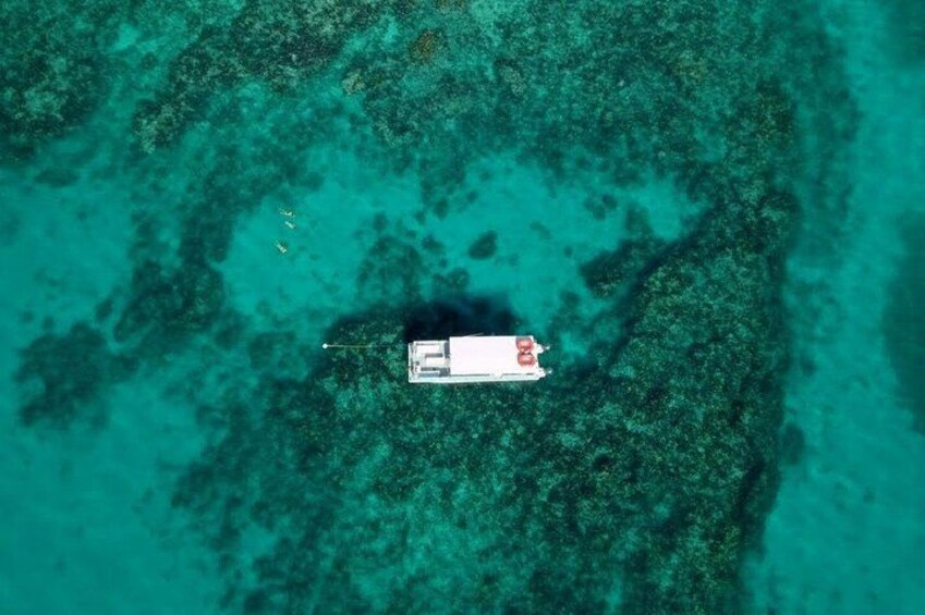 The Florida Keys reef system is the 3rd largest barrier reef in the world! 3