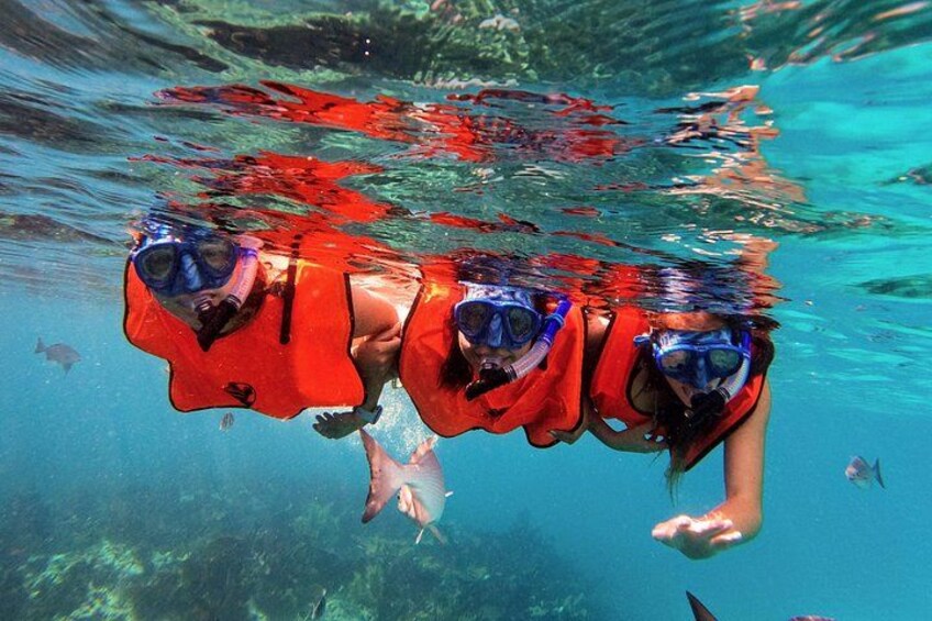 Key Largo Two Reef Snorkel Tour - All Snorkel Equipment Included! 3