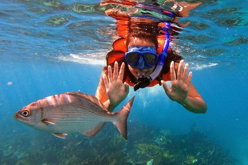 The only thing on the seas you will find more friendly than our crew are the local reef fish! 4