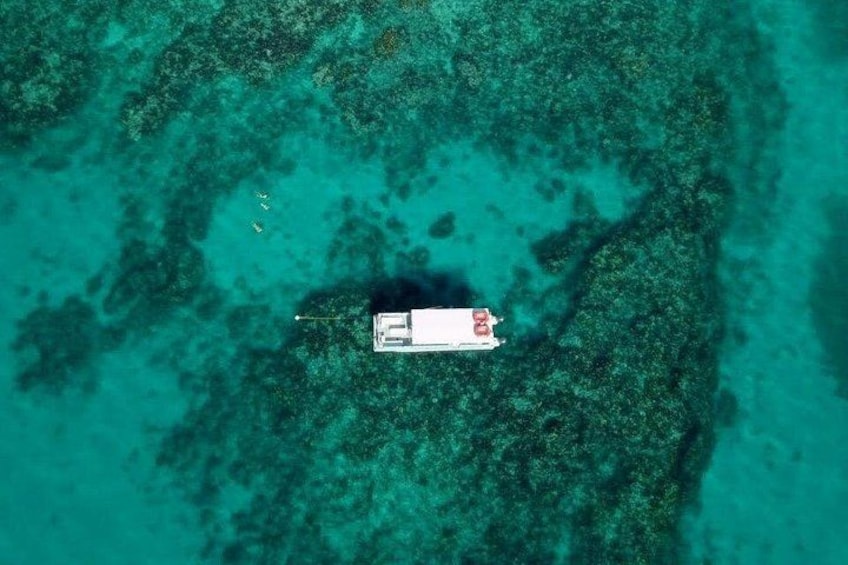 The Florida Keys reef system is the 3rd largest barrier reef in the world! 2