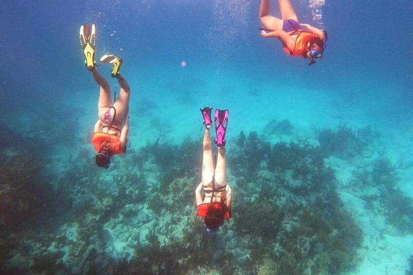Key Largo Two Reef Snorkel Tour - All Snorkel Equipment Included! 3
