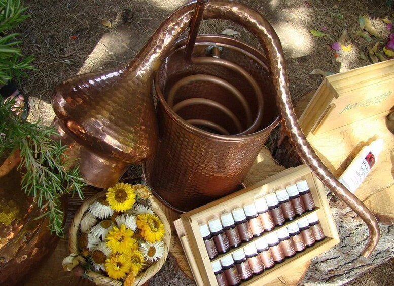 Workshop on Making Natural Essences in the Caminito del Rey area 1