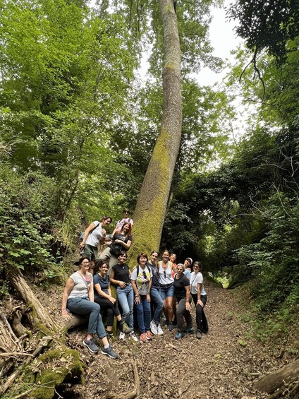 Picture 16 for Activity Hiking through Sorano and the Vie Cave 5