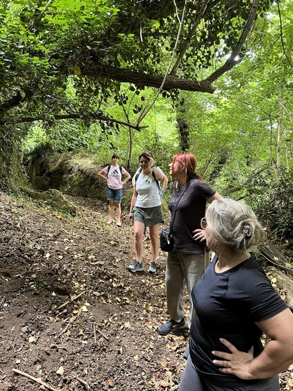 Picture 15 for Activity Hiking through Sorano and the Vie Cave 4