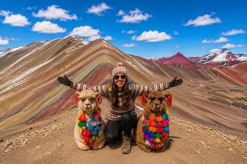 A person with two llamas in a mountainous landscape. 1
