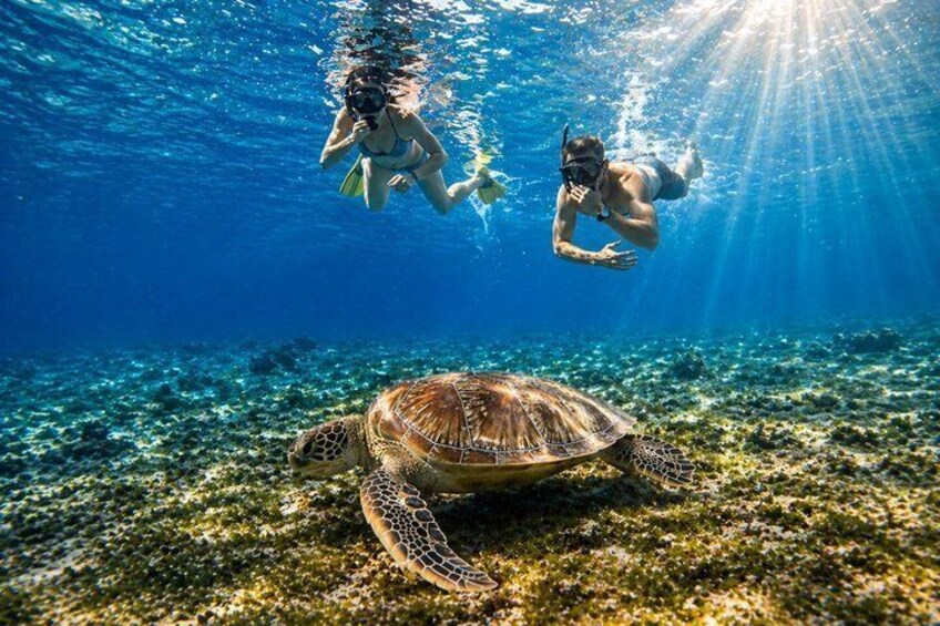 Gili Air Shared Snorkeling Tour with Glass Bottom Boat (5 Hours) 3
