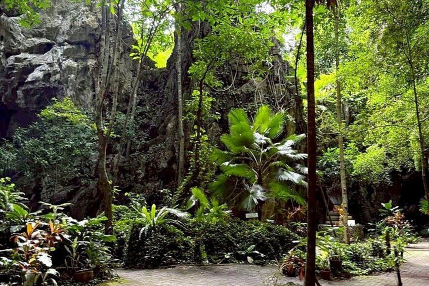 A lush garden with a variety of tropical plants and a rocky cliff in the background. 3
