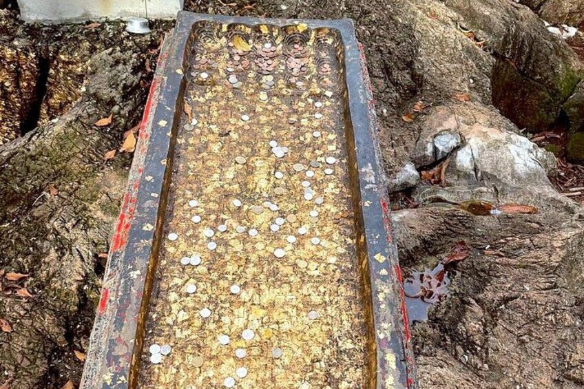 A metal tray filled with small, round objects on a rocky surface. 5