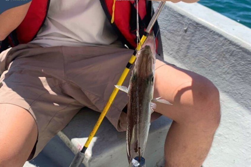 Kota Kinabalu 3 Hour Coastal Fishing and Island Tour 2