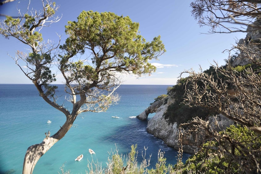 Picture 4 for Activity From Baunei: Guided trekking to Cala Goloritzè with a local guide 4
