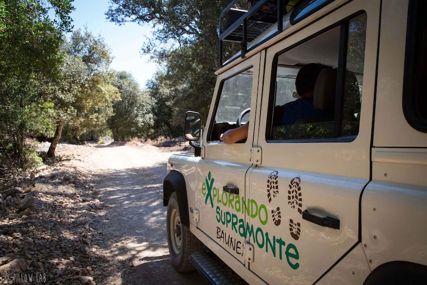 Picture 2 for Activity From Baunei: Guided trekking to Cala Goloritzè with a local guide 3
