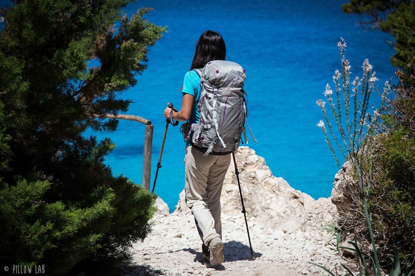 From Baunei: Guided trekking to Cala Goloritzè with a local guide 1